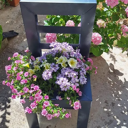 Sunshine Sovlje