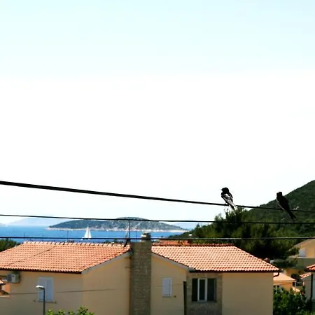 Sunshine Sovlje *