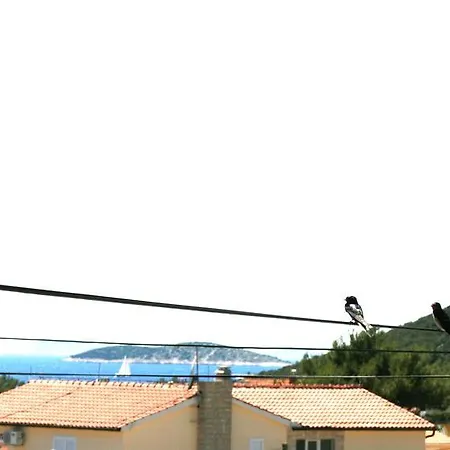 Apartment Sunshine Sovlje Tribalj