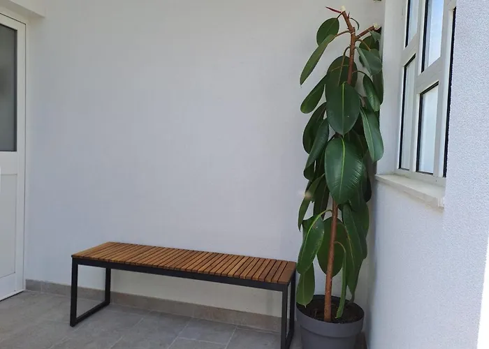 Sunshine Sovlje * Tribalj