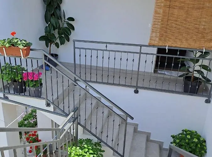 Sunshine Sovlje * Tribalj