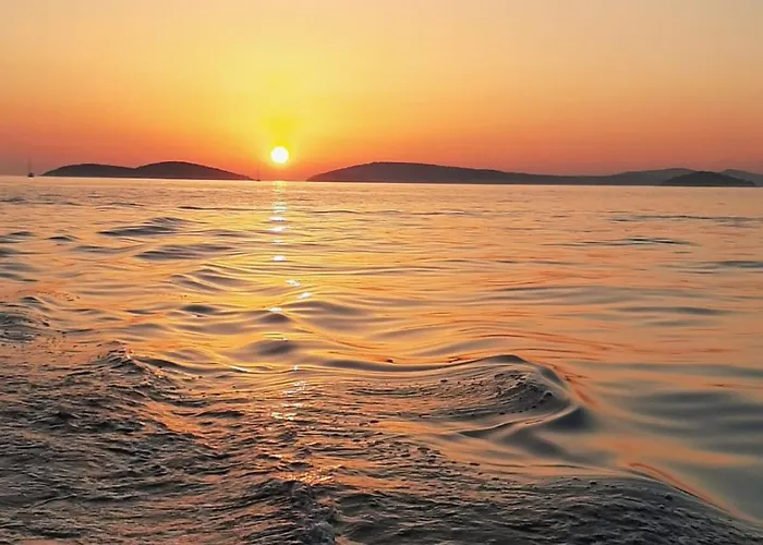 Sunshine Sovlje Daire Tribalj